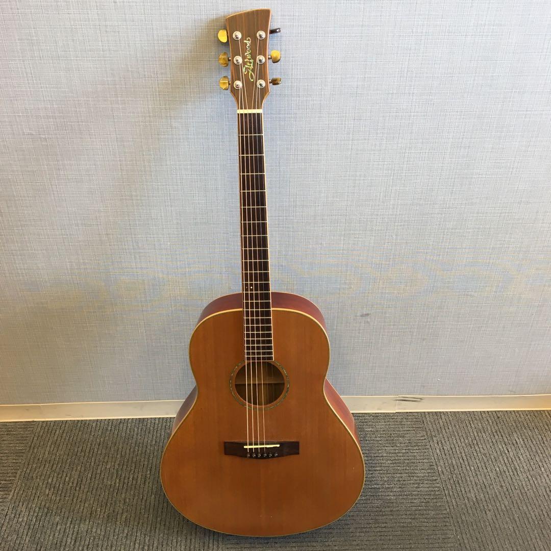 Artwood アコースティックギター　動作品