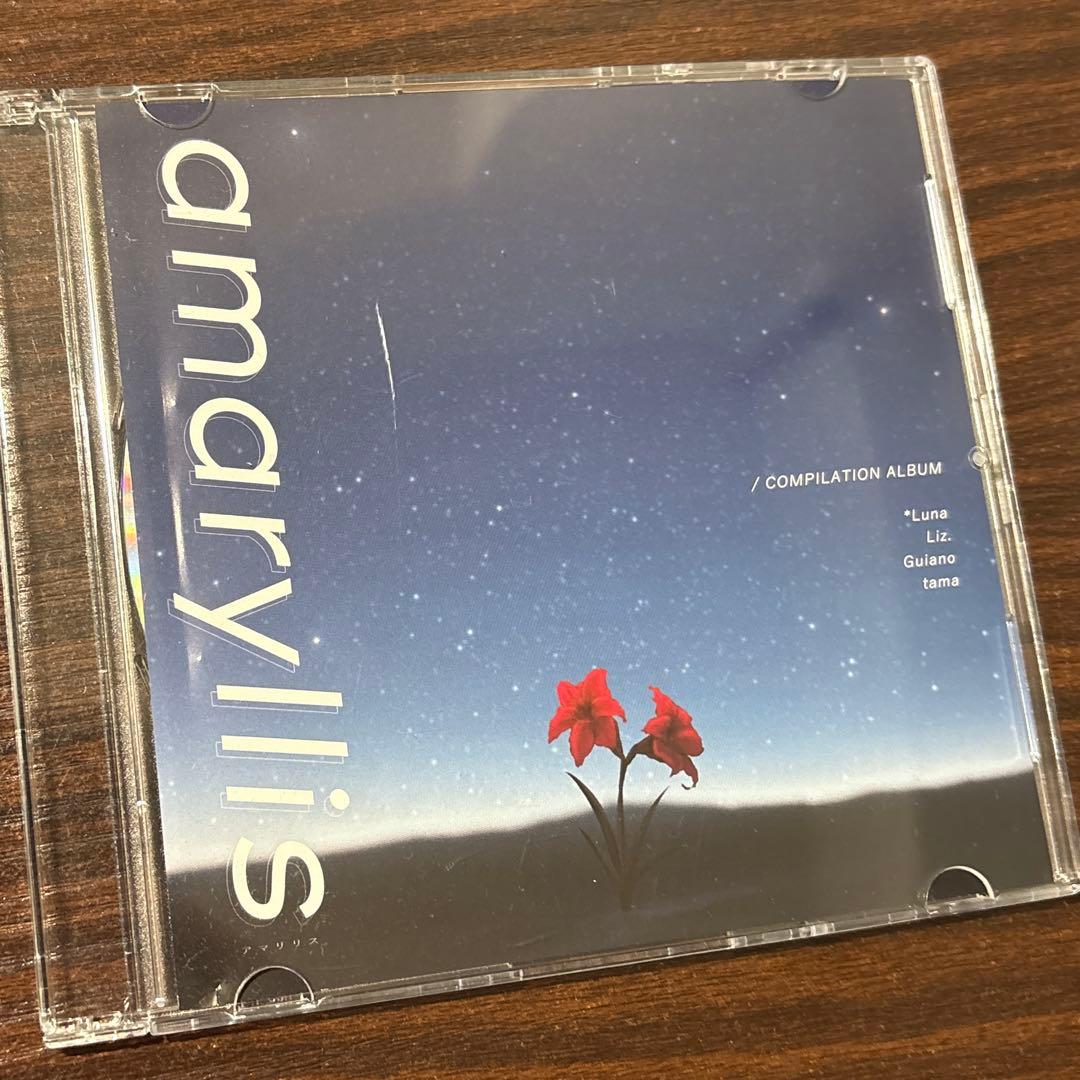 邦楽 amaryllis *Luna Liz. Guiano tama