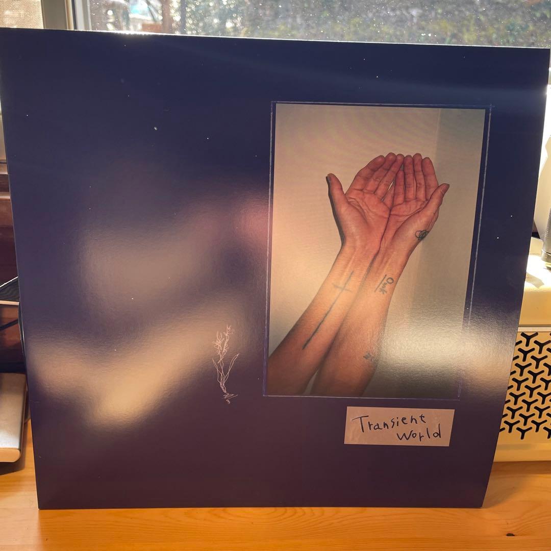 Transient world 下津光史 レコード　踊ってばかりの国 LP