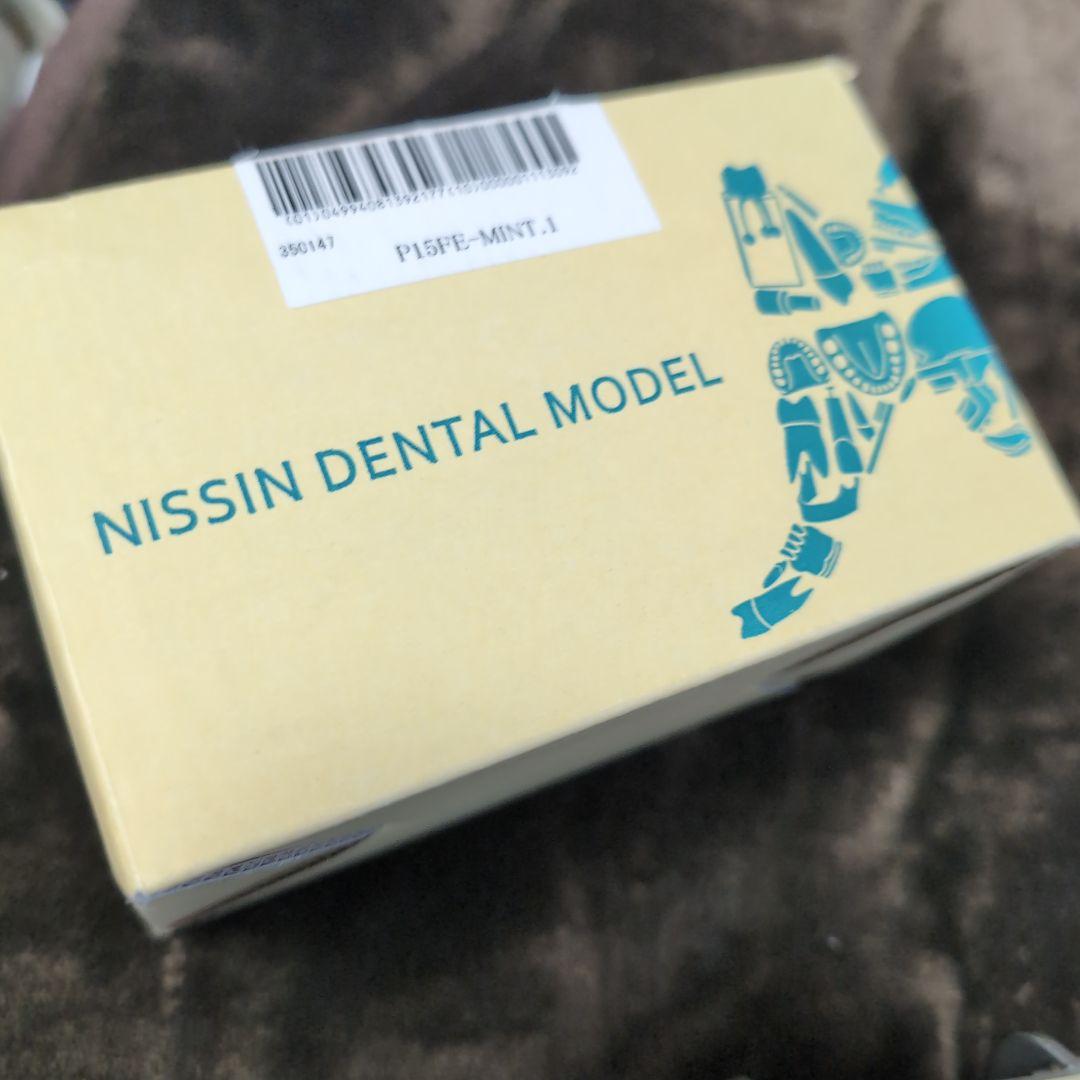さがしもの NISSIN 歯科模型　顎模型 DENTAL