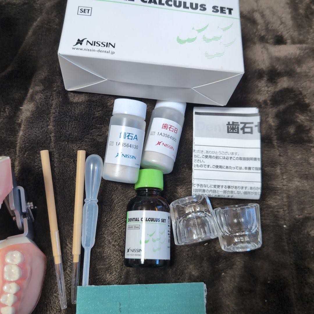 さがしもの NISSIN 歯科模型　顎模型 DENTAL