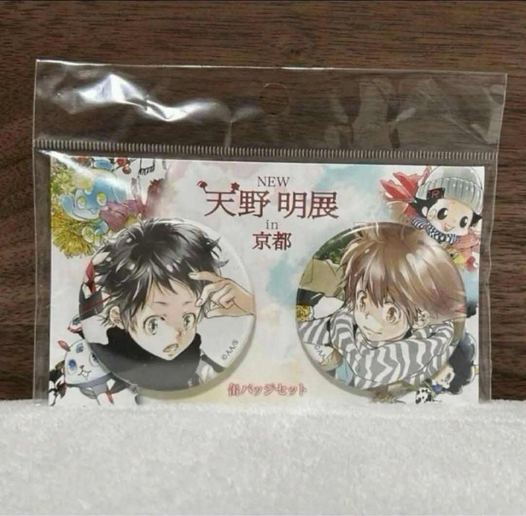 家庭教師ヒットマンREBORN! 天野明展 in 京都 缶バッジ 沢田綱吉 限定