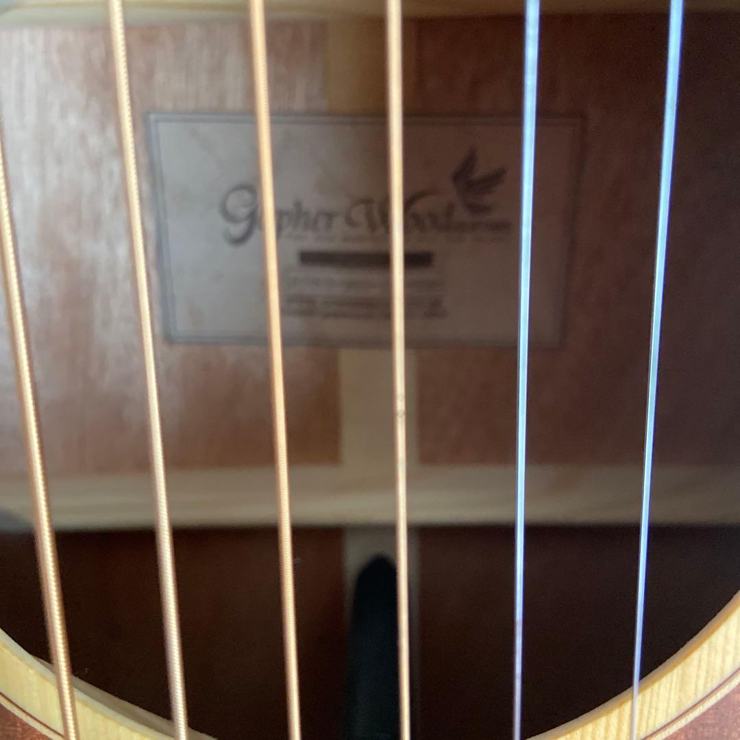 Gopher Wood i110SX　アコースティックギター　ゴフェルウッド