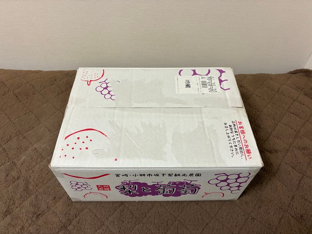 一番くじ　Mrs. GREEN APPLE A賞ぬいぐるみ全3種コンプ➕おまけ4