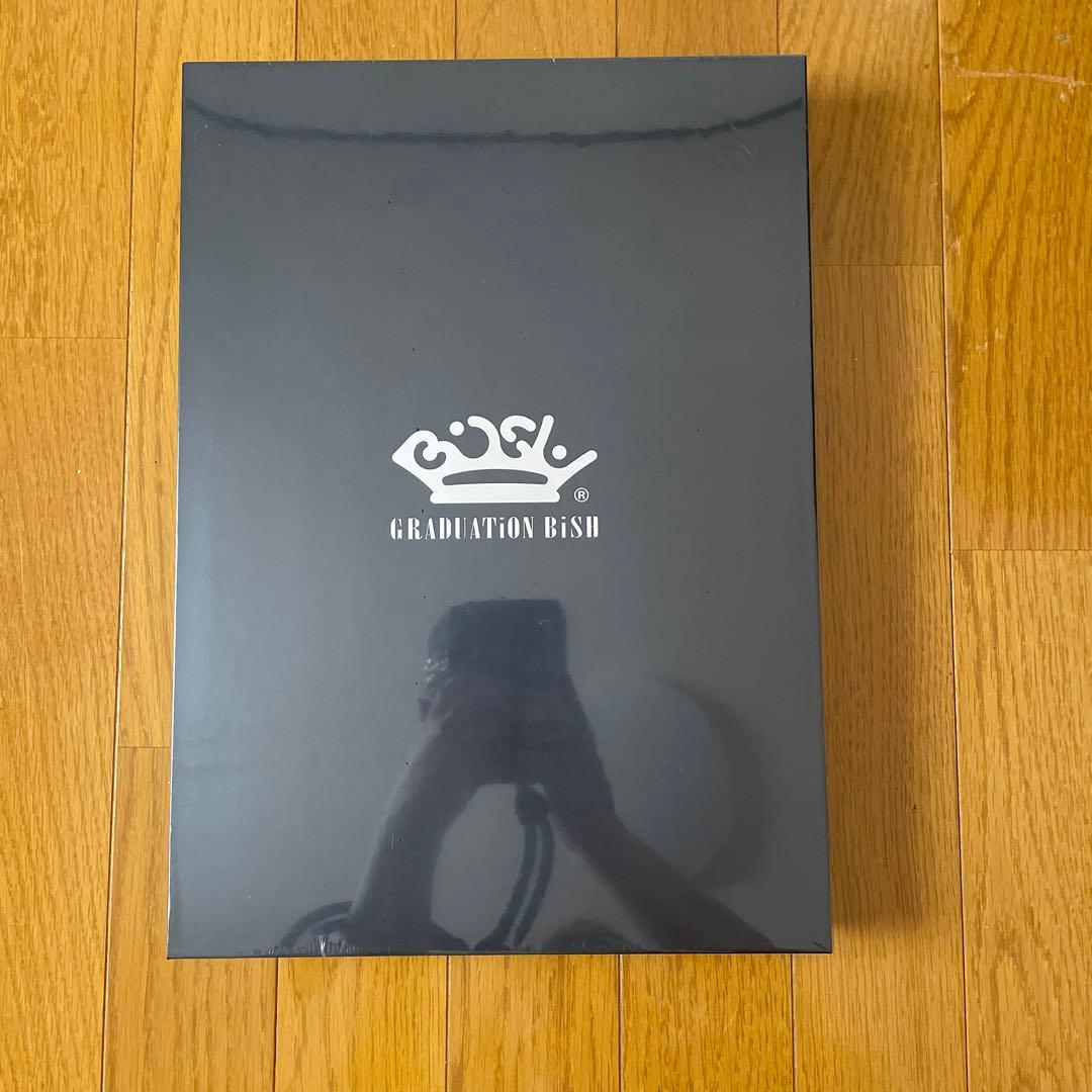 GRADUATION BiSH アートブック 2015-2016