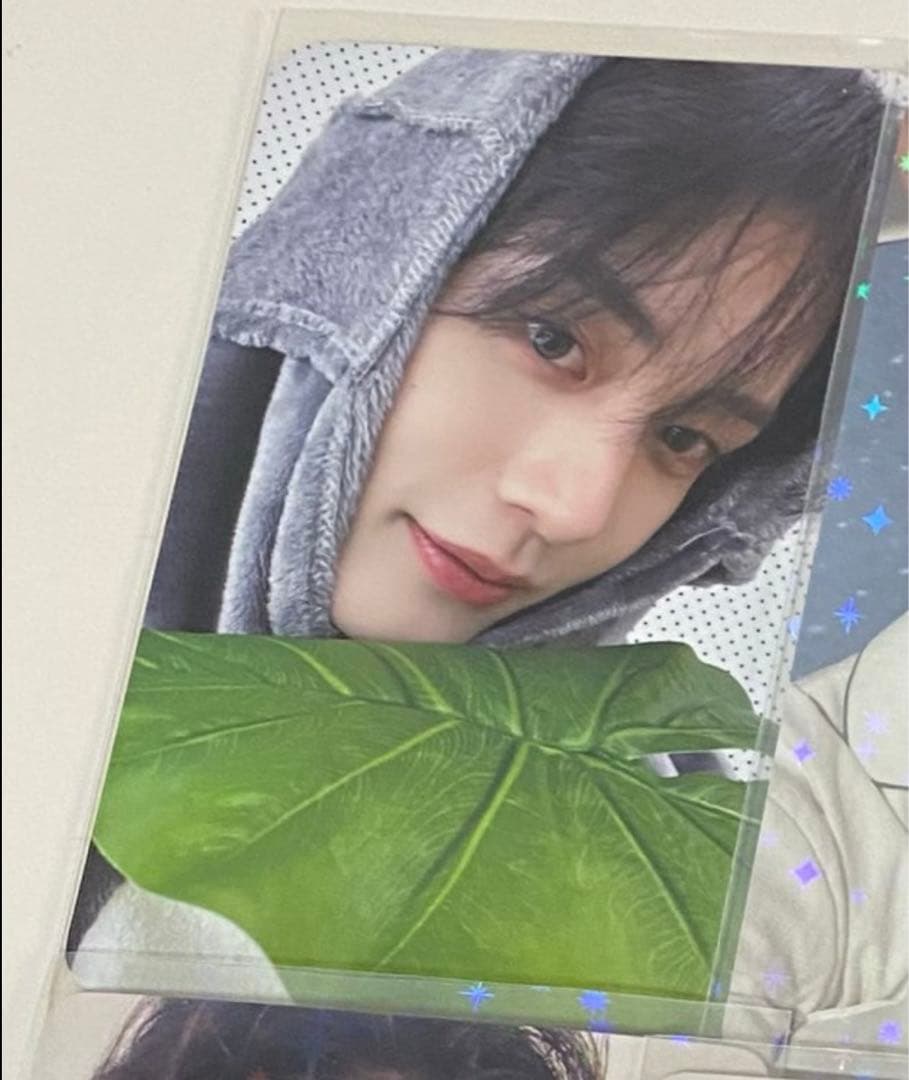 ZB1 ゼベワン  EVERLINE ラキドロ トトロ  キムジウン　トレカ