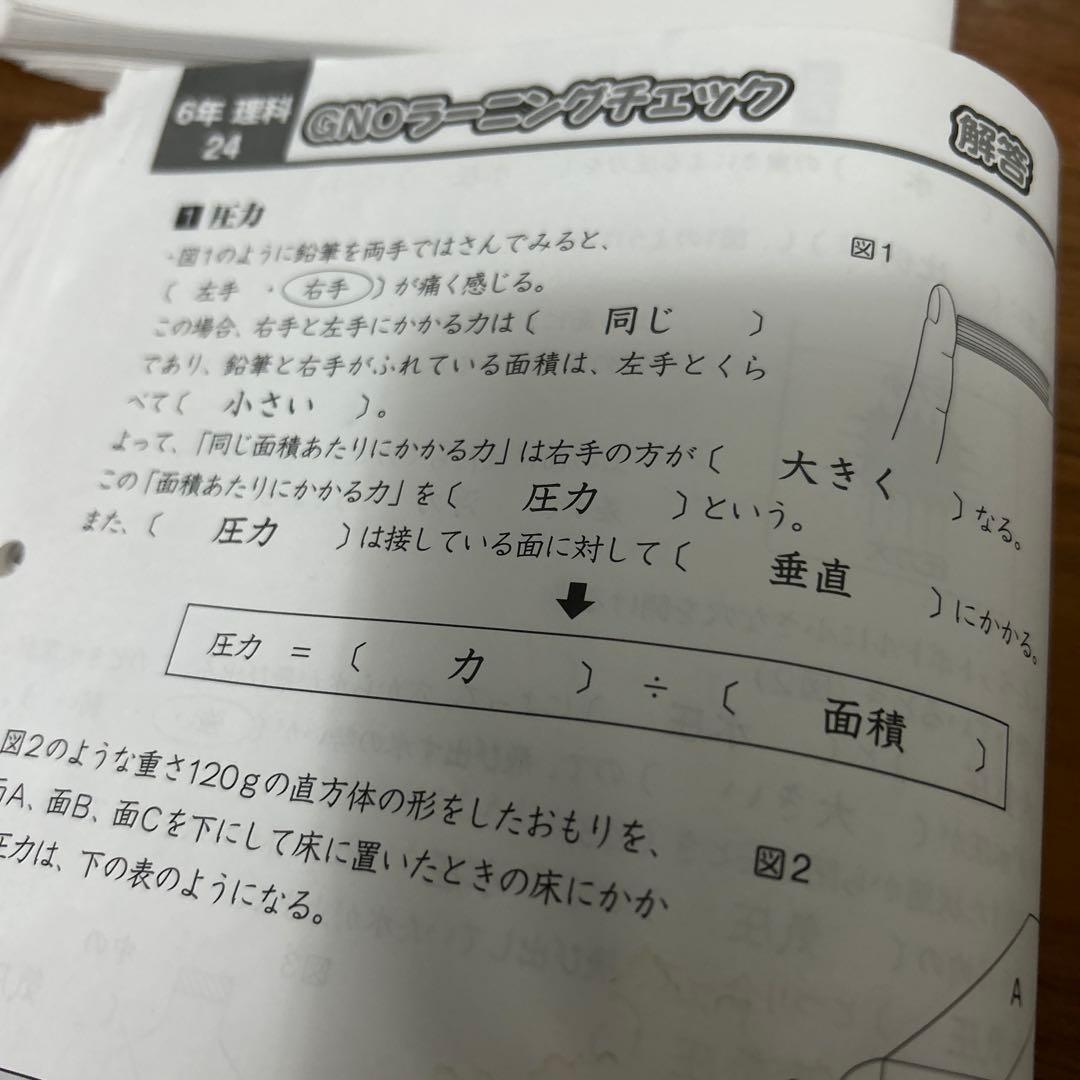 ① 重要暗記教材❣️グノーブル GNOラーニングチェック 5年　6年　理科