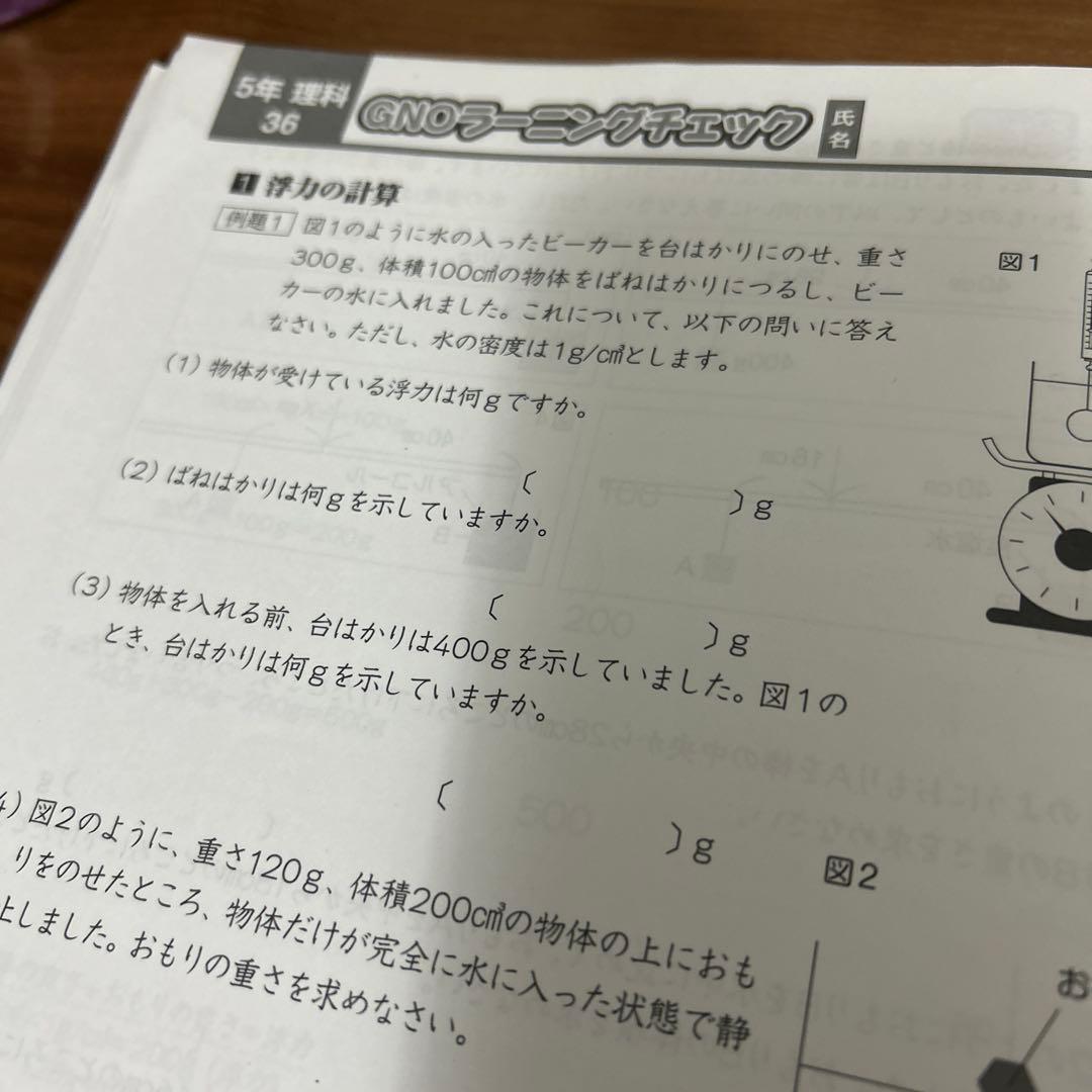 ① 重要暗記教材❣️グノーブル GNOラーニングチェック 5年　6年　理科
