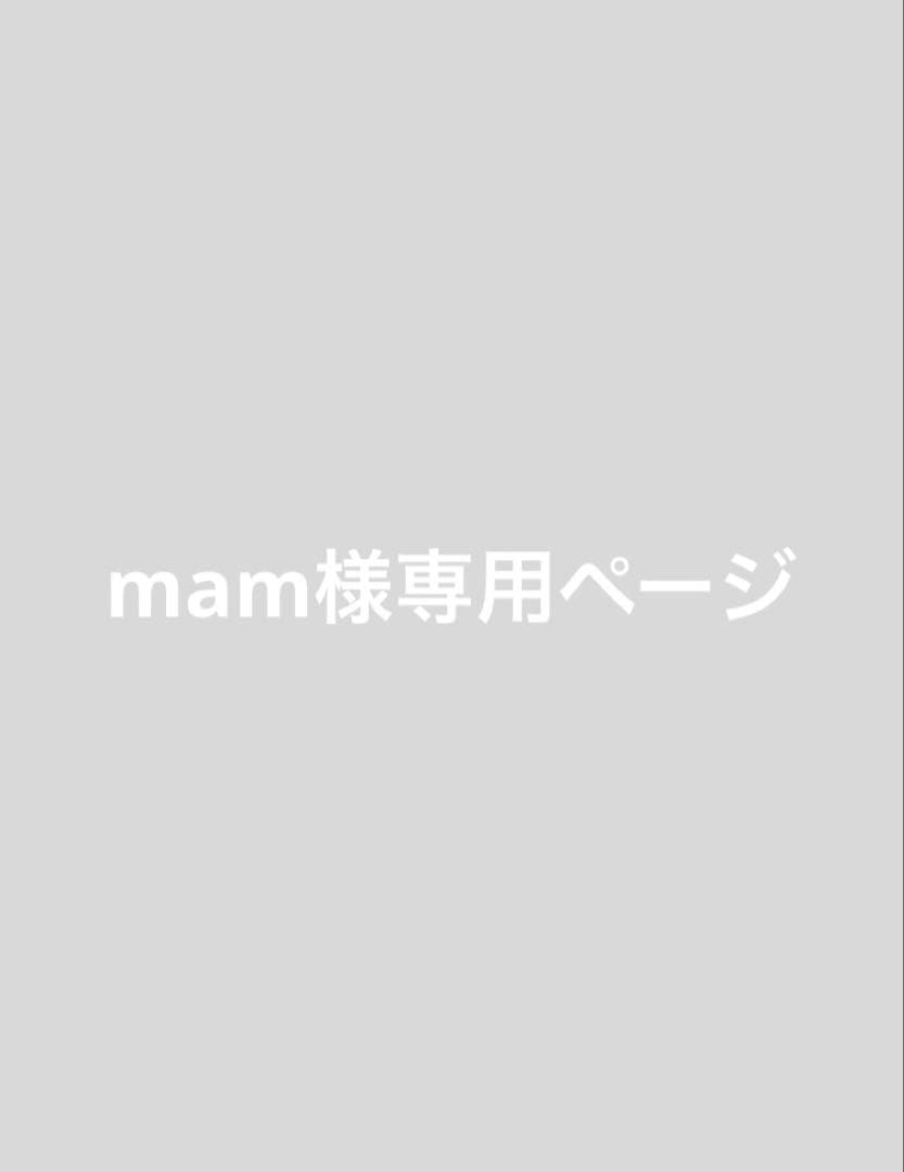 衣装ケース・衣類収納ケース mam
