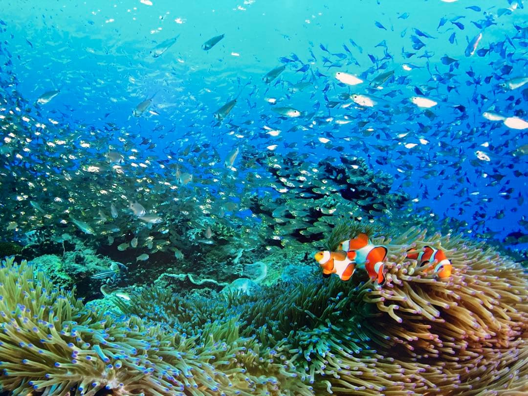 エンビロン　シークエンストーナー　シークエンスセラム3 シークエンスクリーム