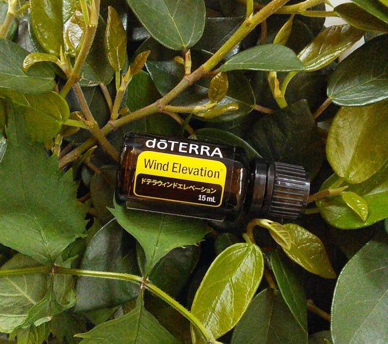 【❗️希少 新品 未開封】ドテラ ウィンドエレベーション 期限26年4月