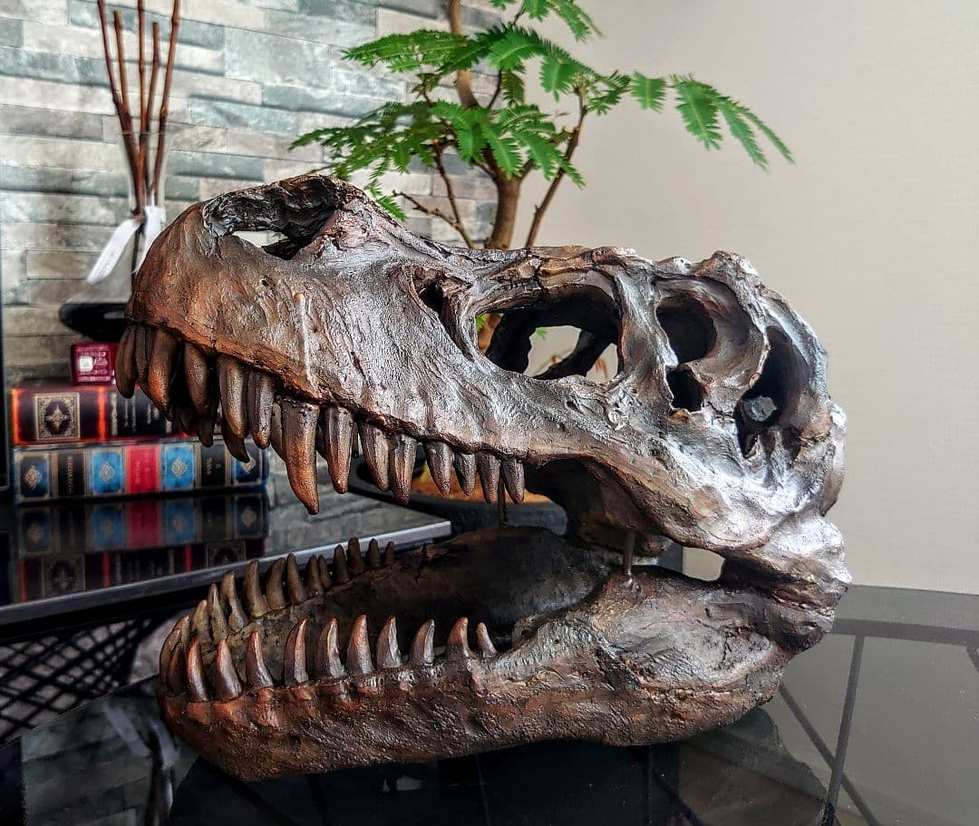 【お得なセット】ティラノサウルス トリケラトプス インテリア雑貨
