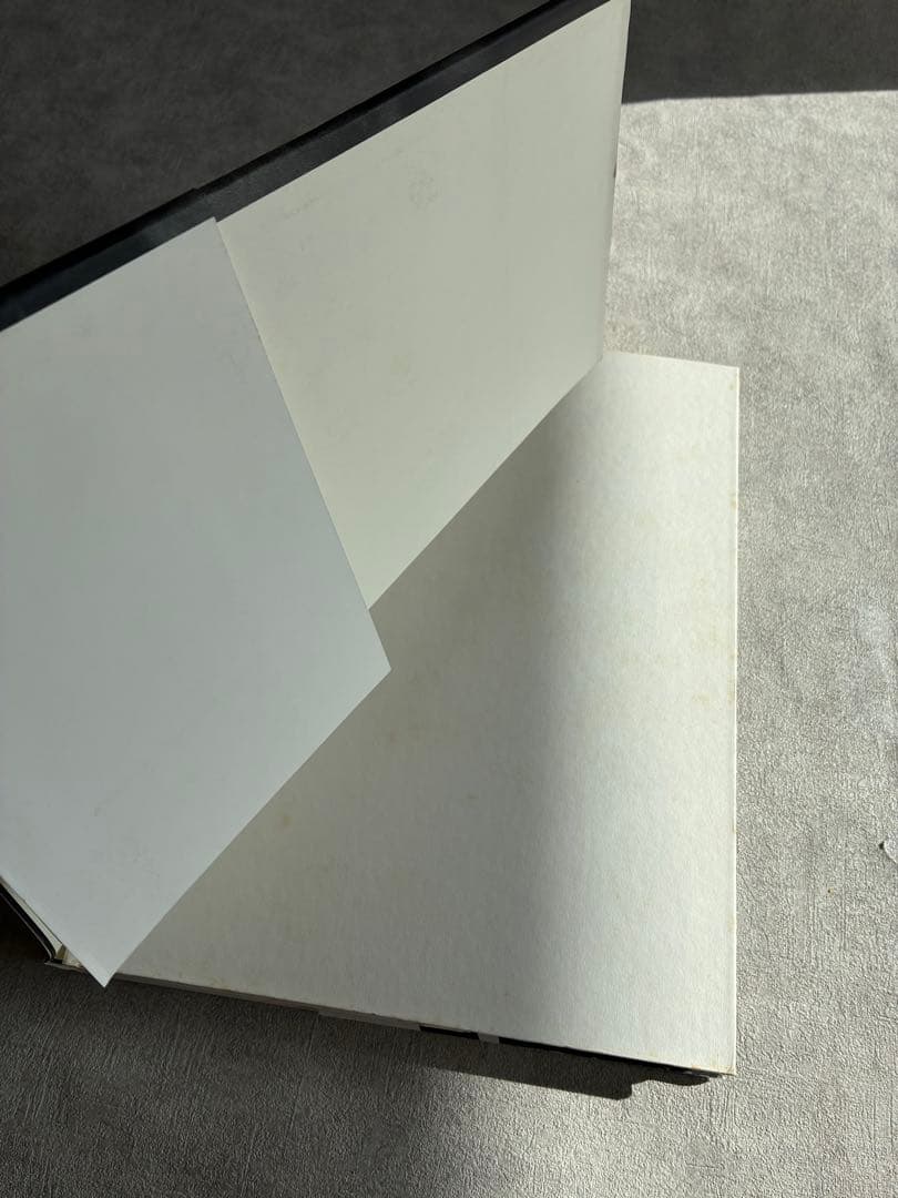 『Diary』 Peter Beard ピーター・ビアード 写真集