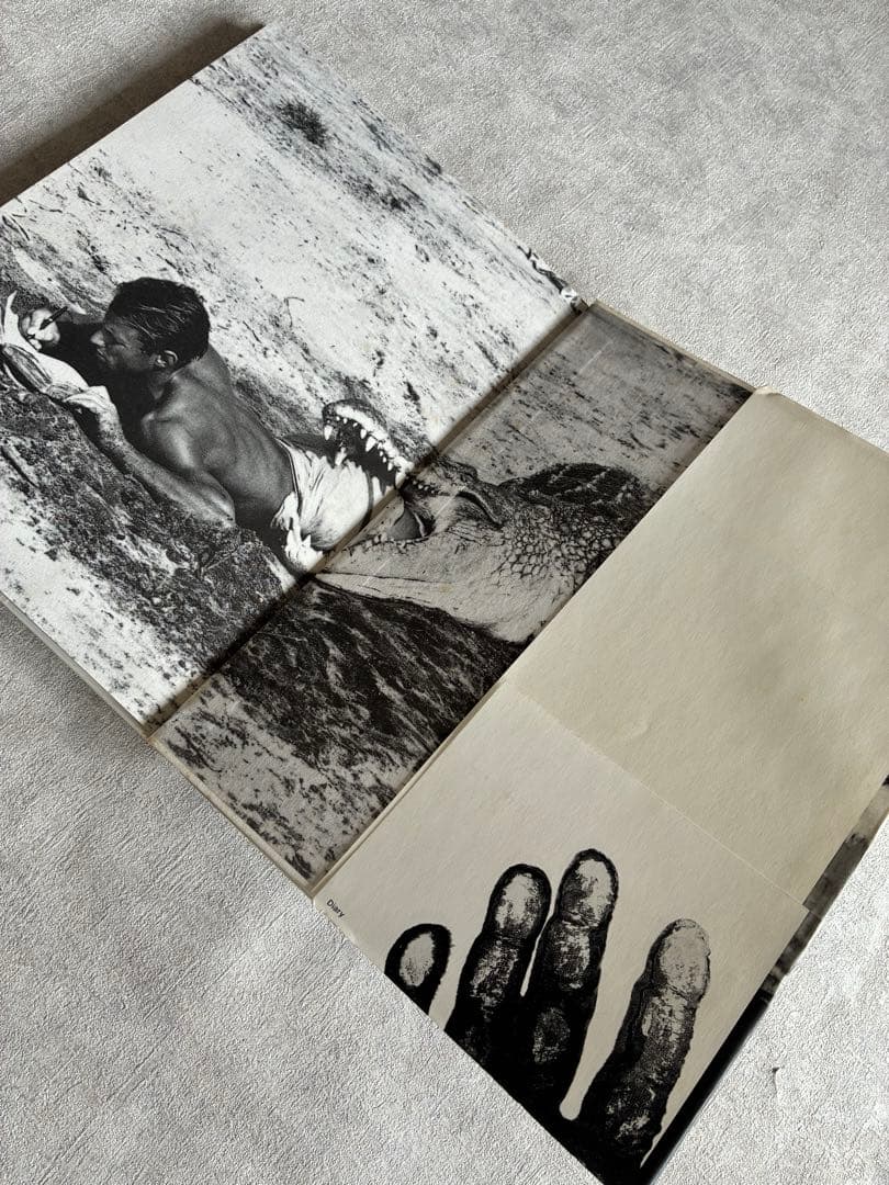 『Diary』 Peter Beard ピーター・ビアード 写真集