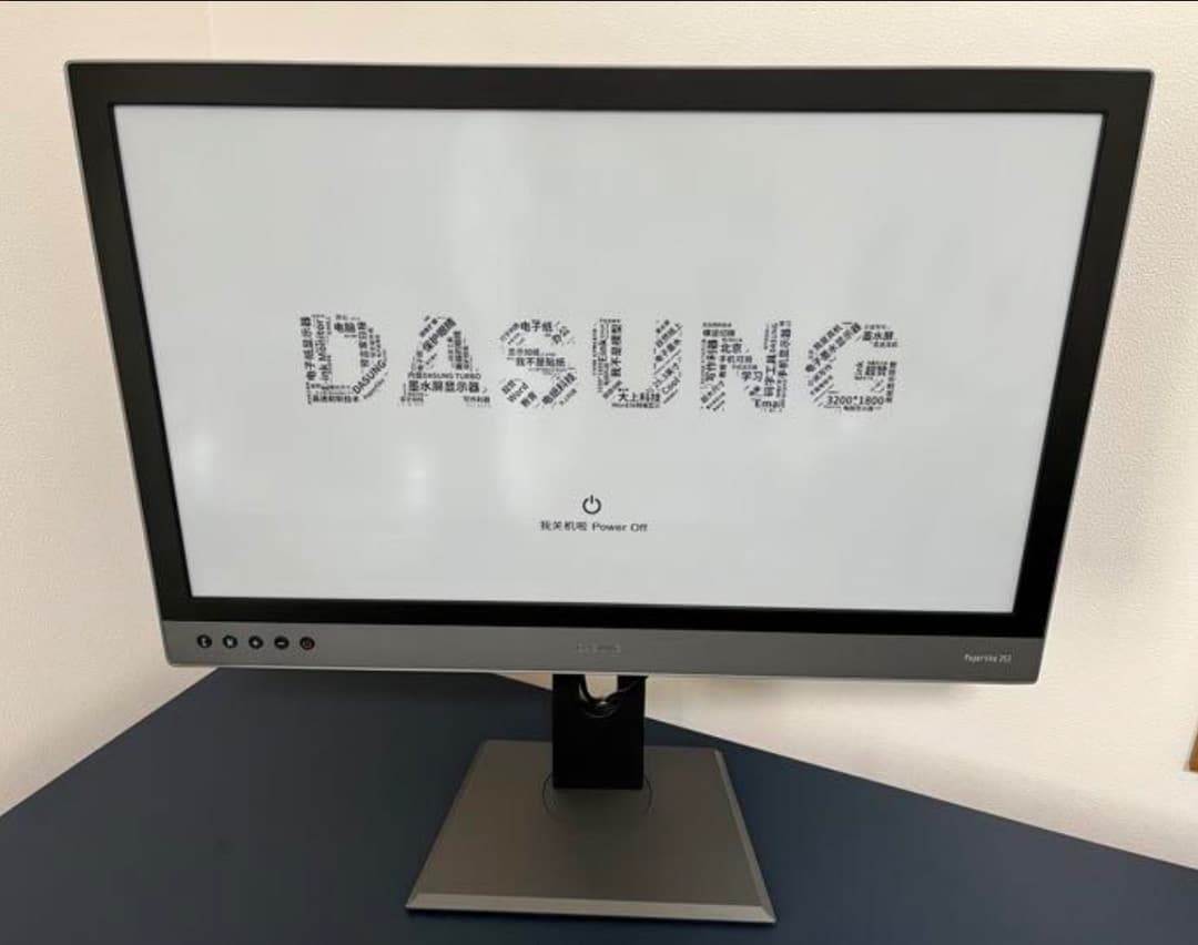 ディスプレイ・モニター本体 DASUNG Paperlike 253 Eink
