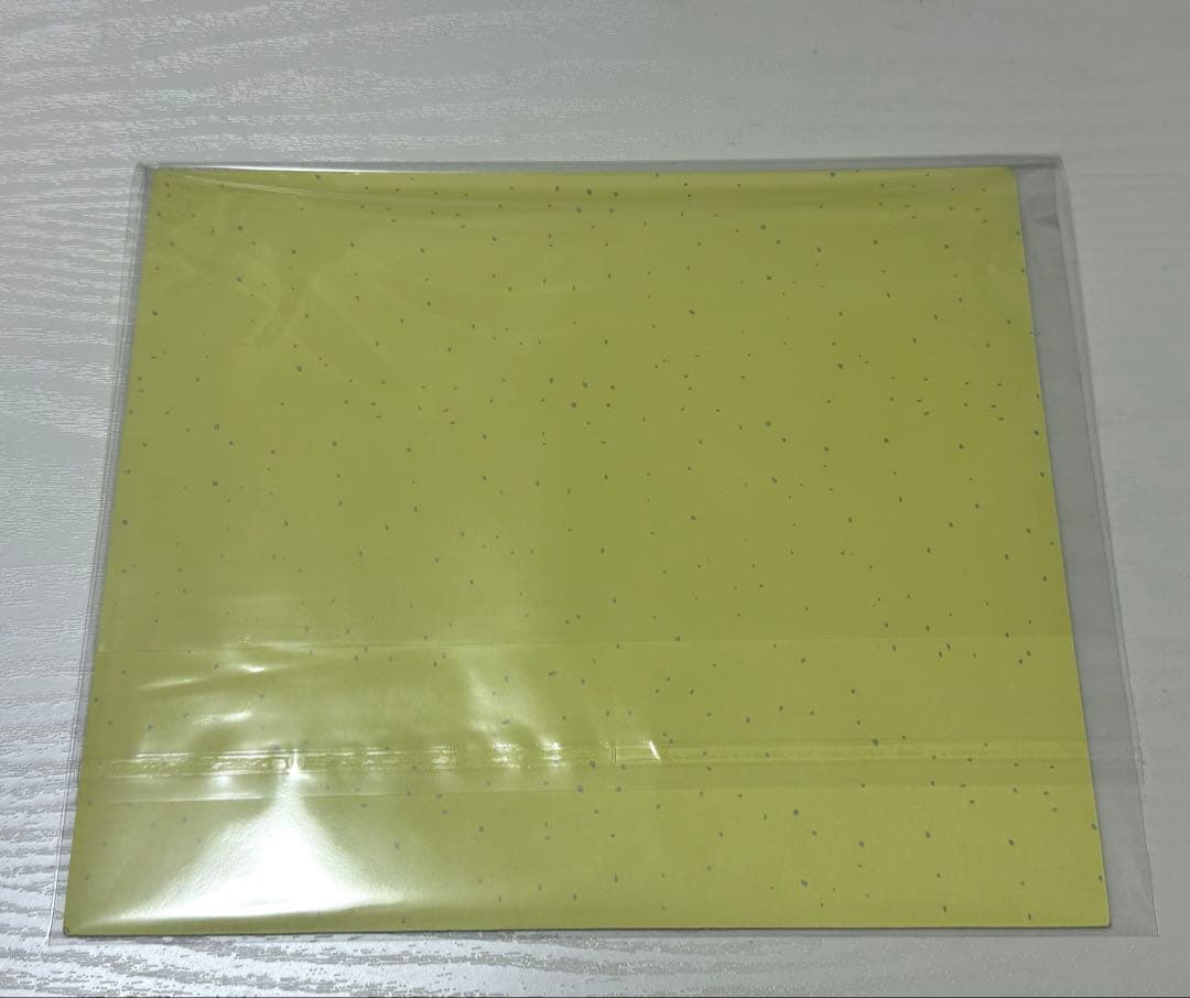 EVERGLOW サイン色紙