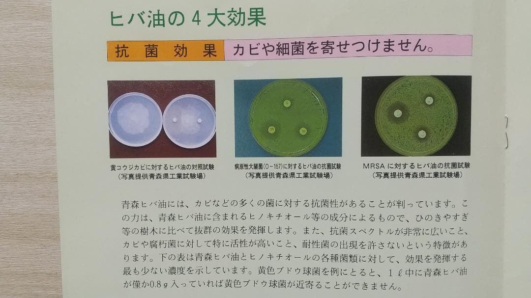 ヒノキオイル ※青森ヒバ油 (精油) ３L ★期間限定超激安