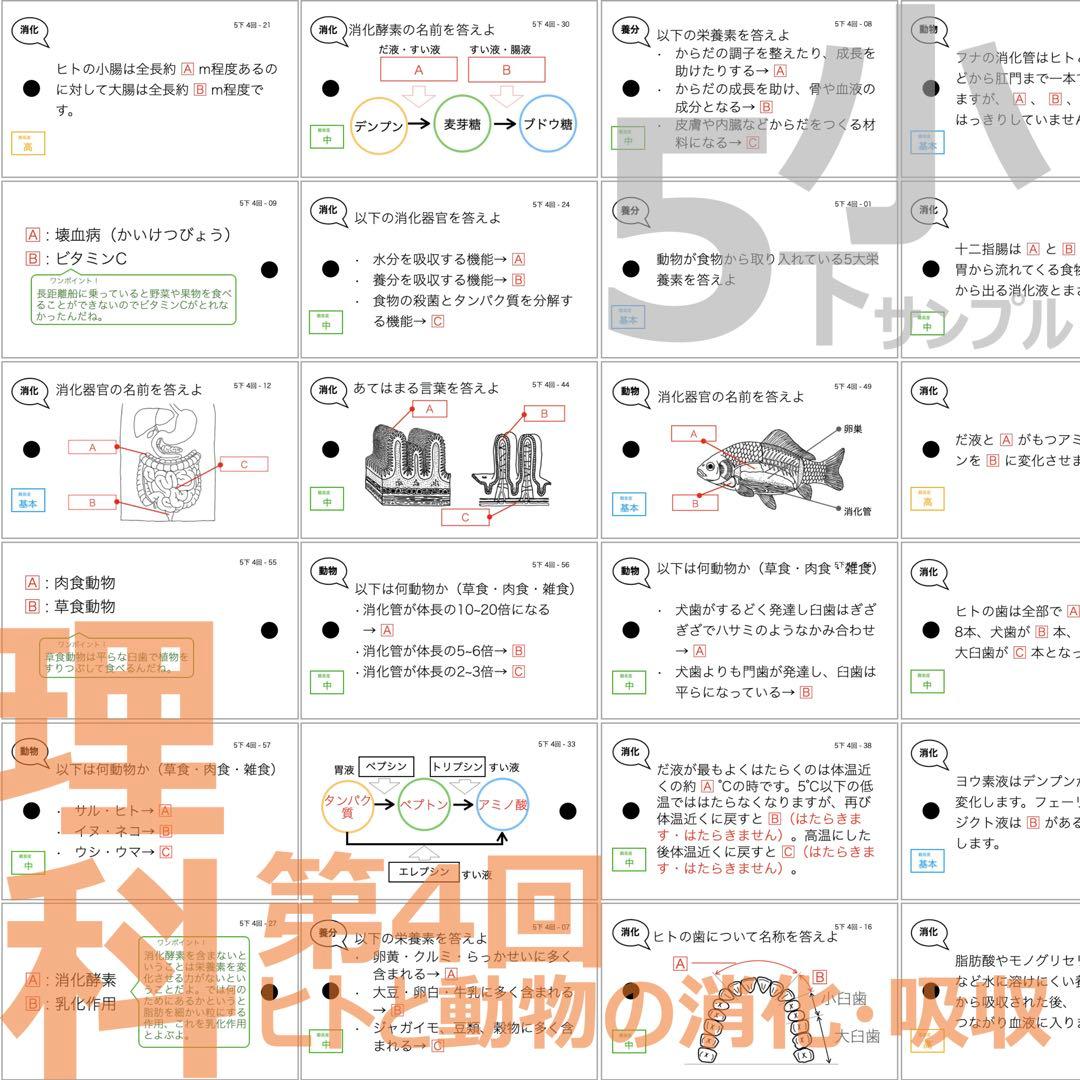 中学受験 暗記カード【5年下 社会・理科1-4回】 予習シリーズ 組み分け対策