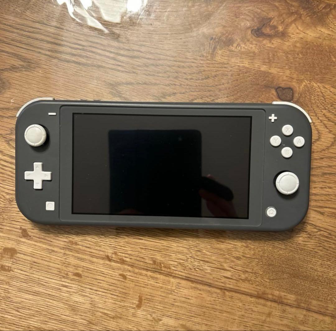 Nintendo Switch Lite グレー　画面フィルム付き