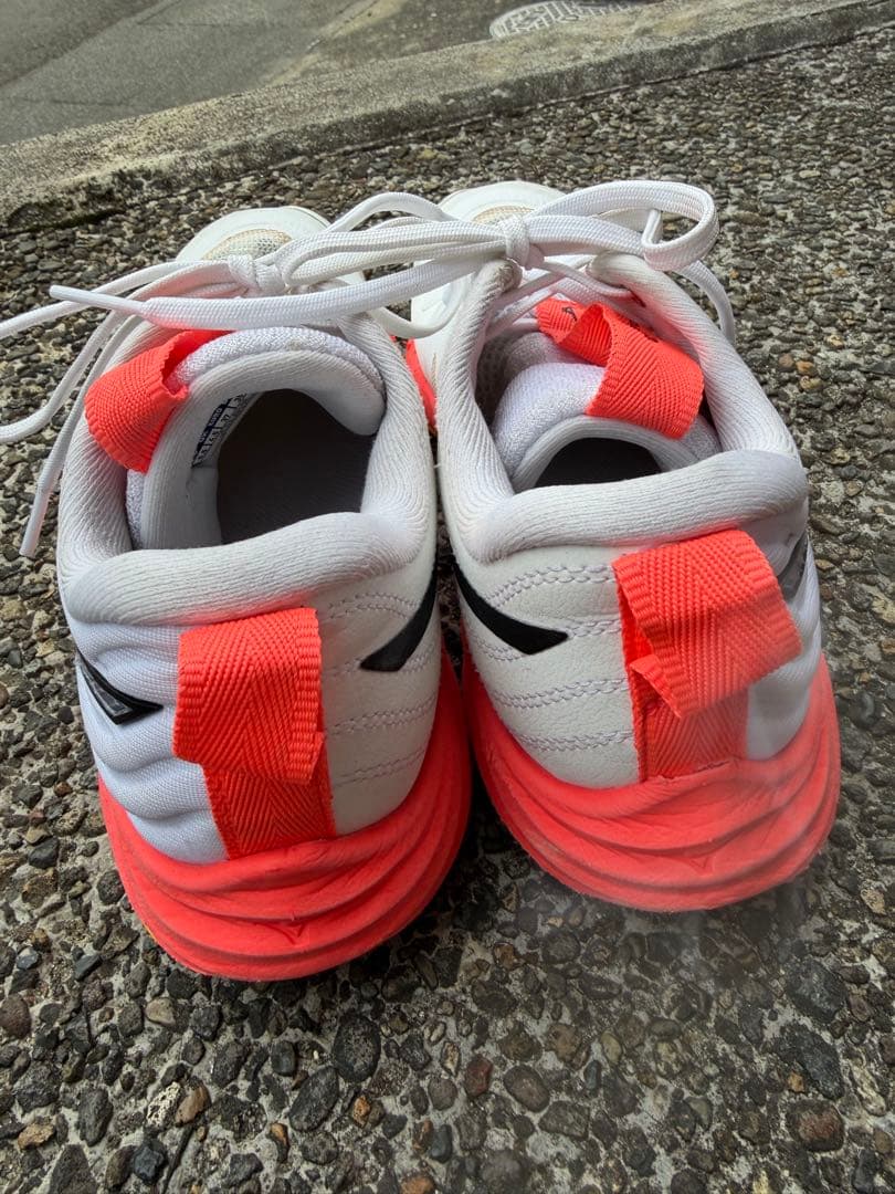 Mizuno ウエーブモーメンタムエリート　シューズ　　バレー