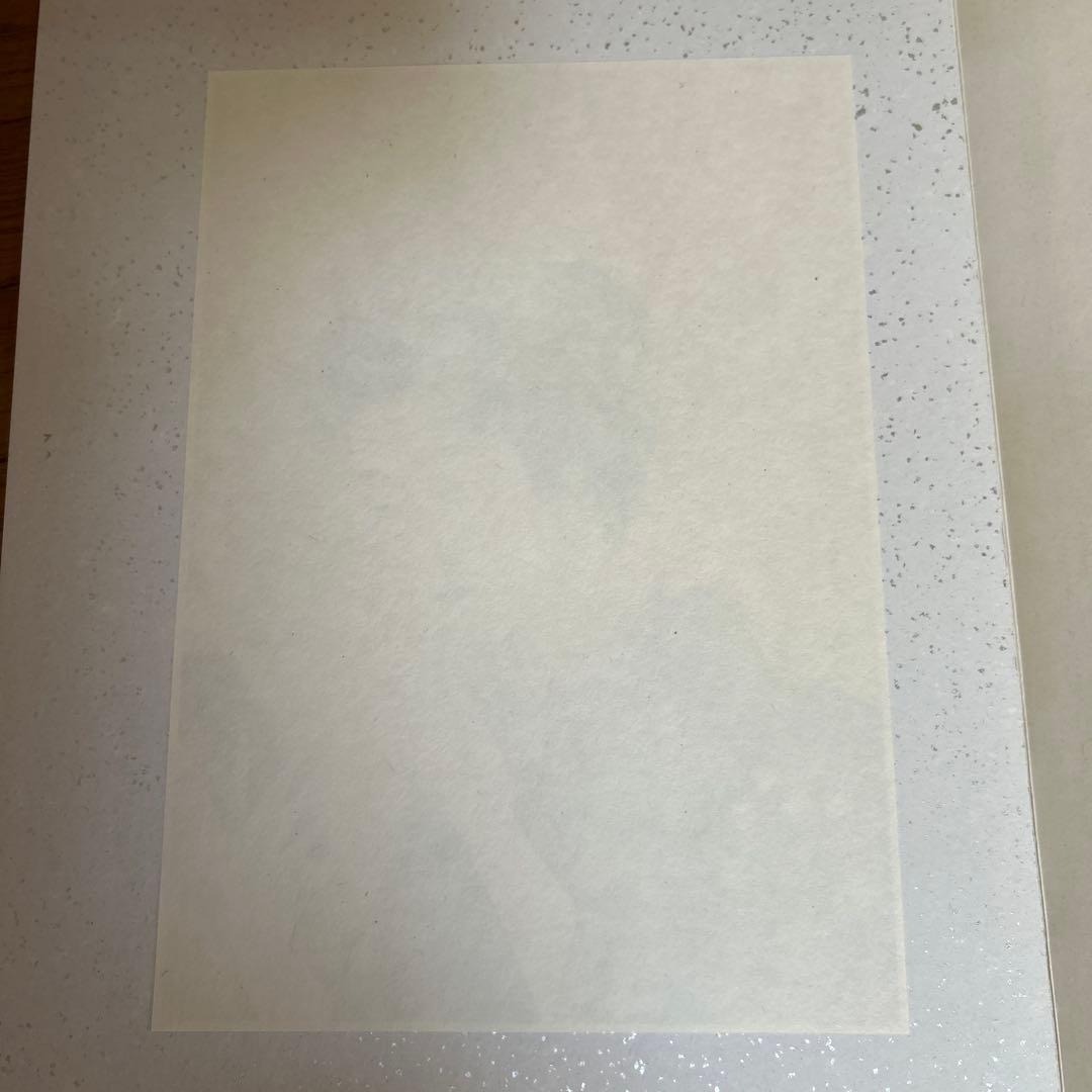 最終値下げ 橋口五葉　図録　大正の女　復刻版画　10点　共同通信