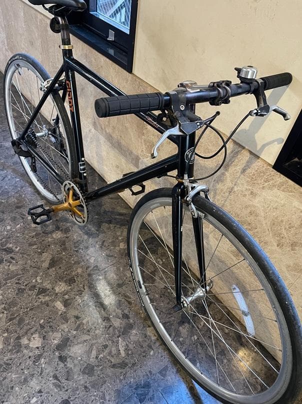 GIANT　tradistトラディスト-手渡しのみでお願いします