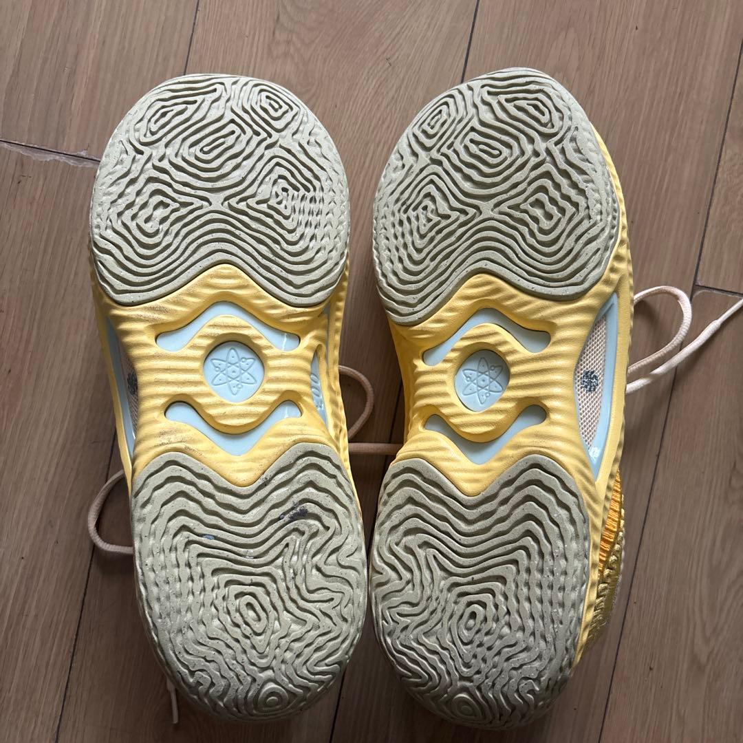 ナイキ バッシュ