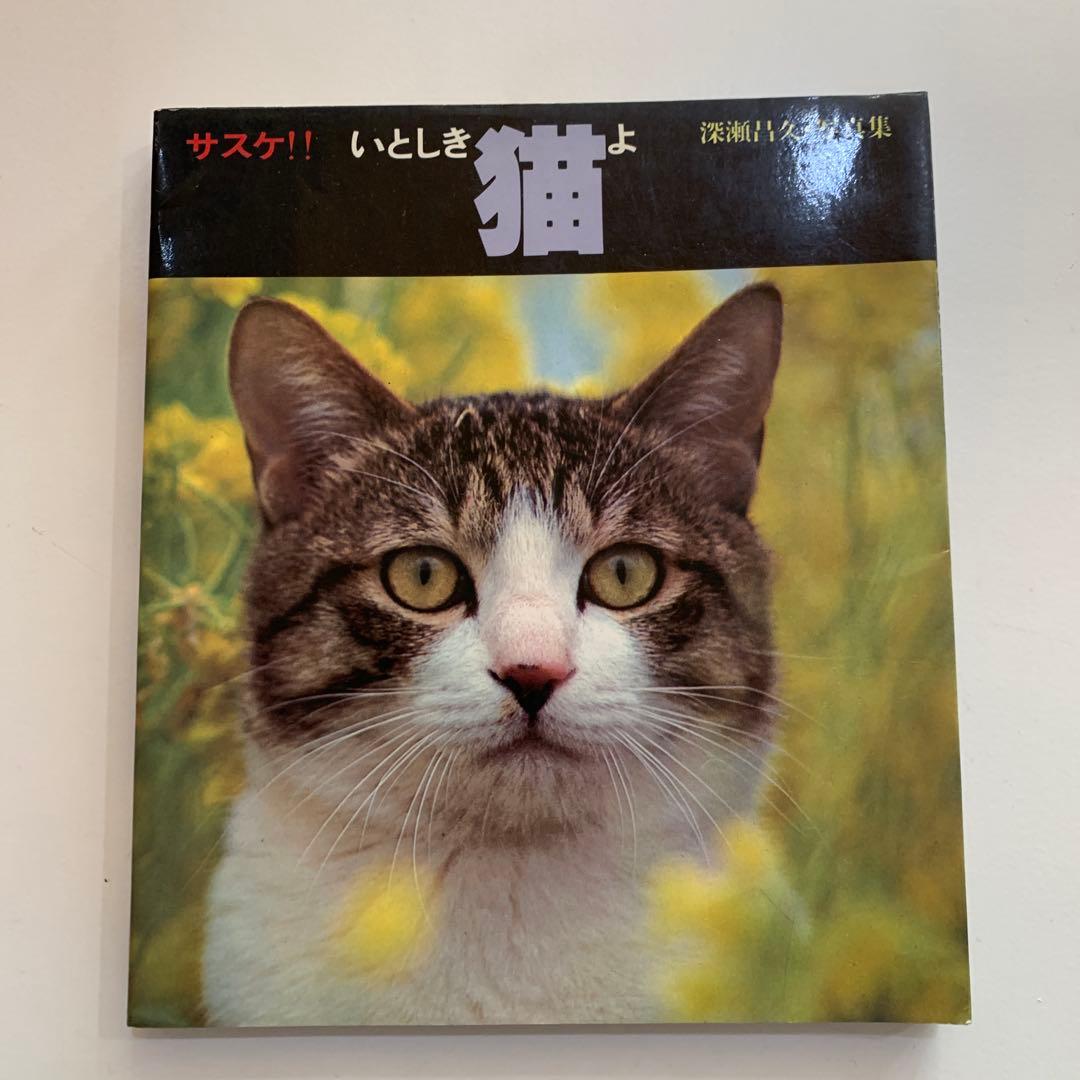 サスケ！！いとしき猫よ