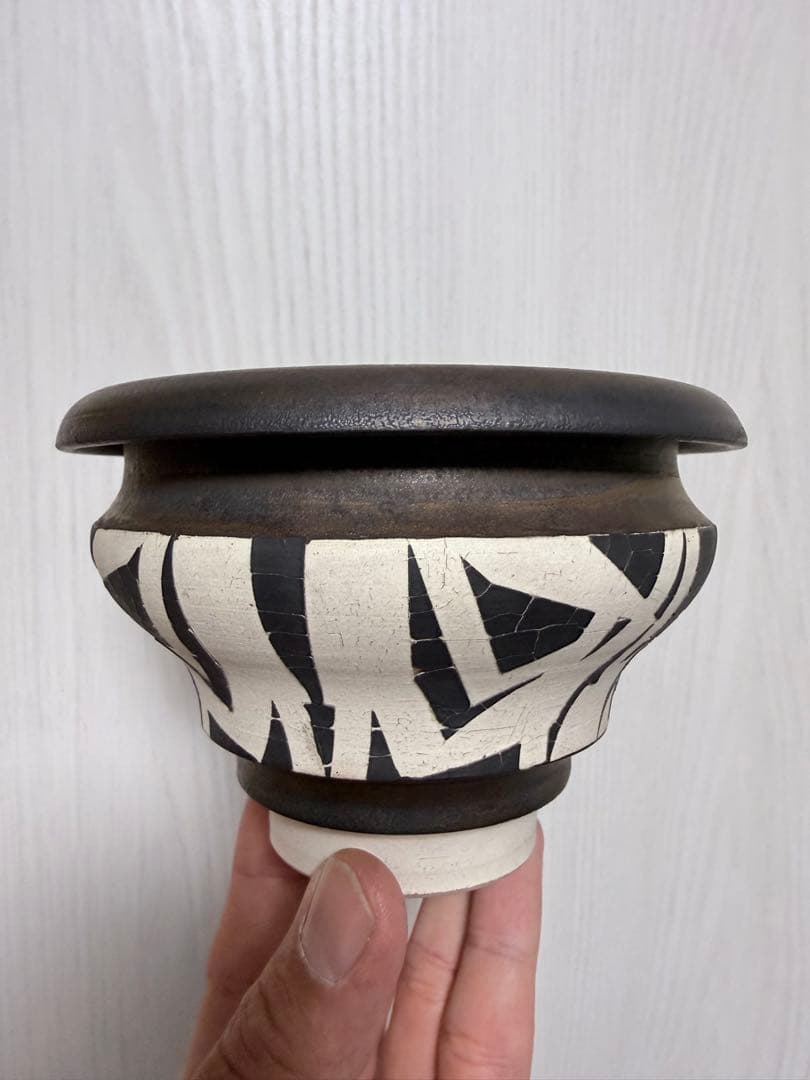 大貫弘由岐 鉢 GEO