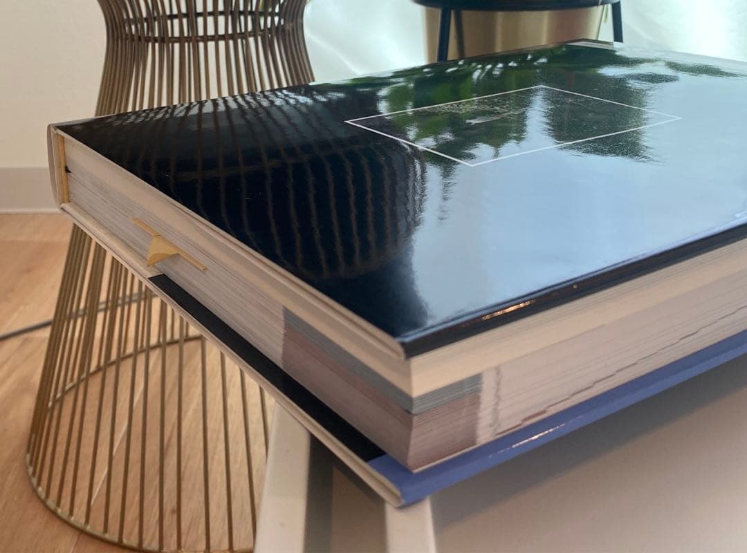 【絶版】図鑑 日本のワシタカ類