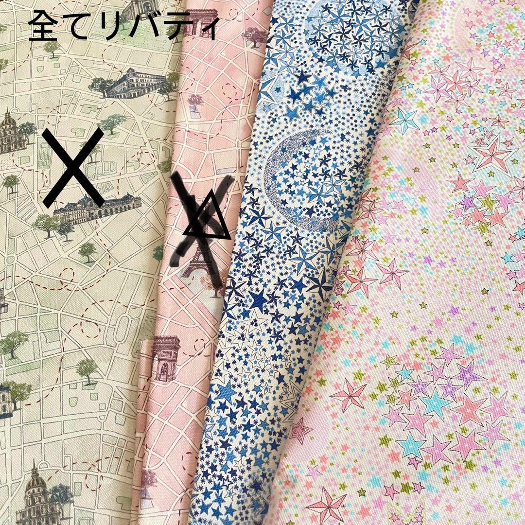 梨ページイジィデミニサイズクラシック25サイズバッグインバッグ