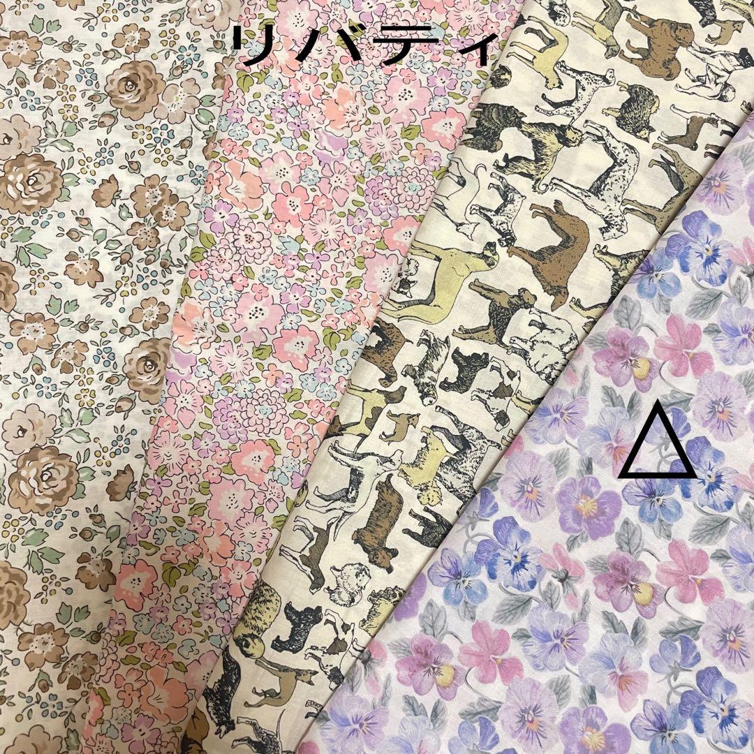 梨ページイジィデミニサイズクラシック25サイズバッグインバッグ