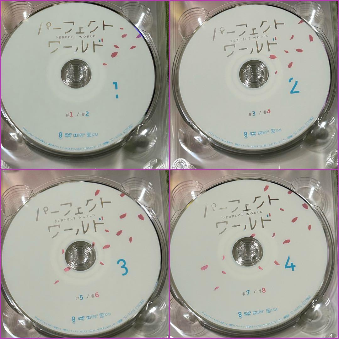 パーフェクトワールド DVD セット　松坂桃李　山本美月　松村北斗