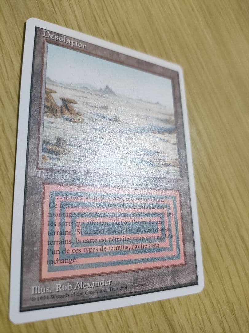 【フランス語】Desolation/BadlandsMTGマジックザギャザリング