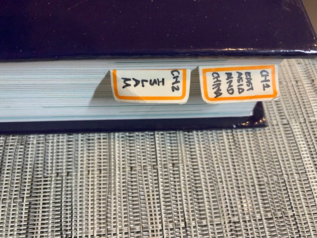 AP World History Textbook Traditions 世界史