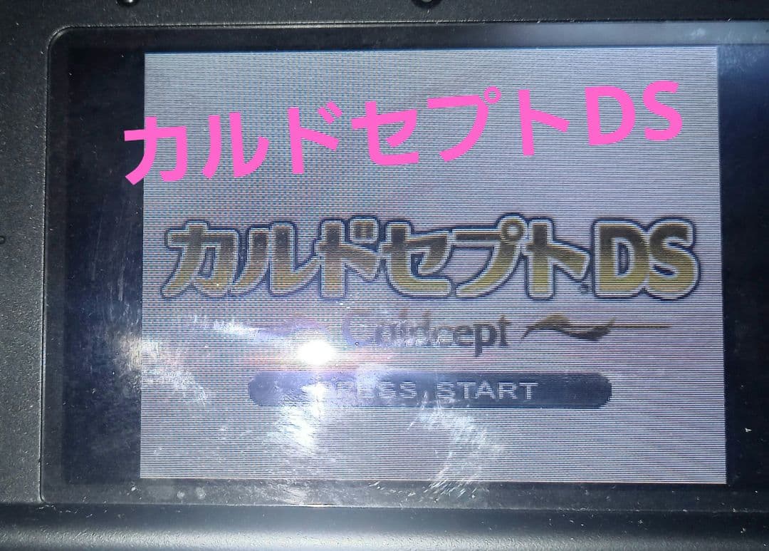 カルドセプトDS 3DS エキスパッション リボルド 攻略本 トランプ 単行本