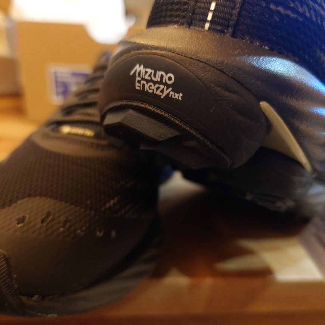 その他 Mizuno Wave Rider GTX 2 25.5cm