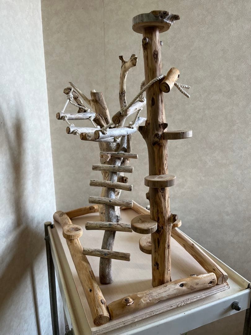 鳥インコ止まり木バードジムバードアスレチック卓上型