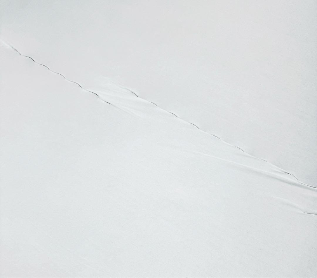 トゥルースリーパー　マットレス　ダブル