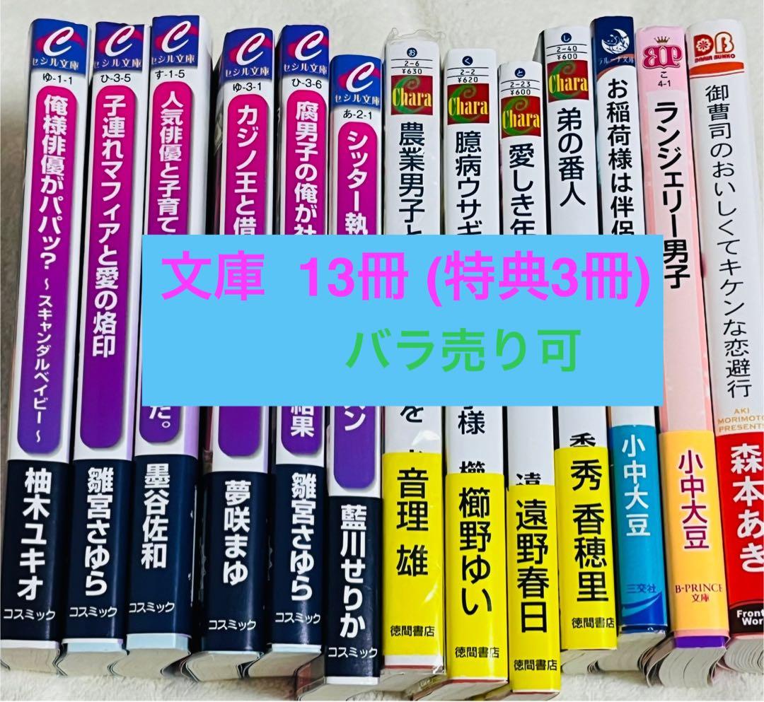 〇BL文庫 13冊 特典有 小中大豆 雛宮さゆら 森本あき 櫛野ゆい 遠野春日