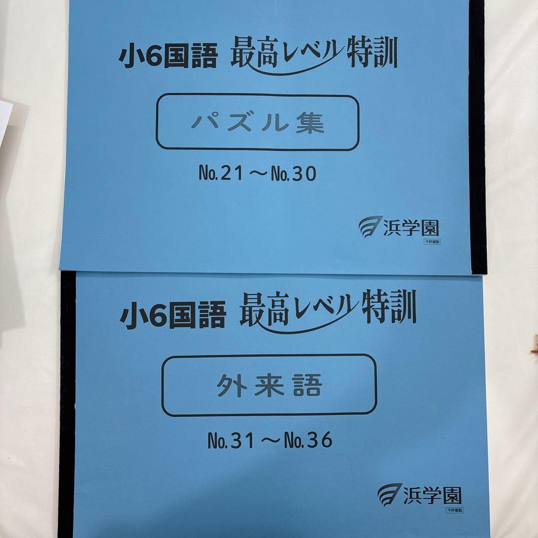 浜学園　小6 最高レベル特訓国語　2024年度　テキスト＋復テ＋パズル集＋外来語