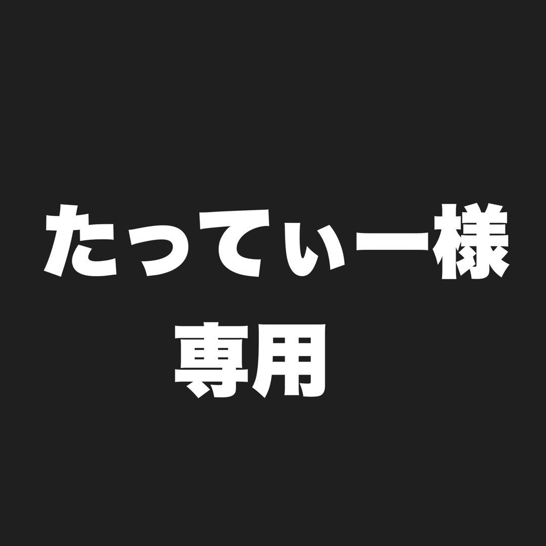 【たってぃー】Pico 4 Ultra 12GB Ram 256GB