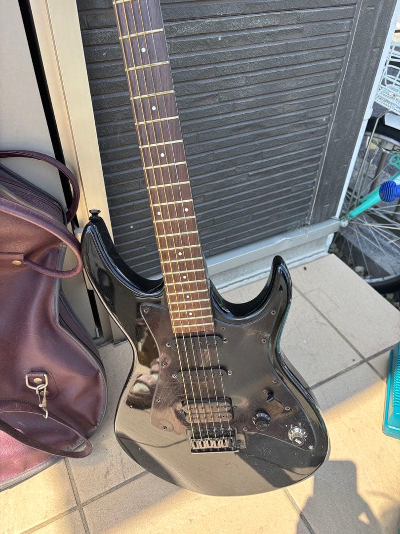 Black Dog by Aria pro Ⅱ