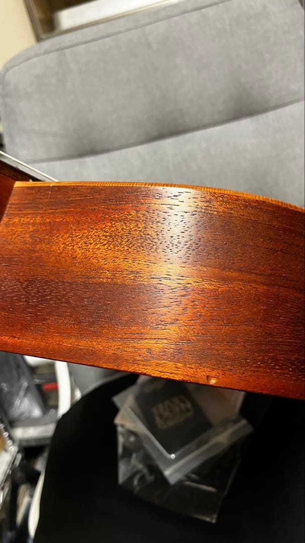 Lag Tramontane TN170ACE エレガットギター