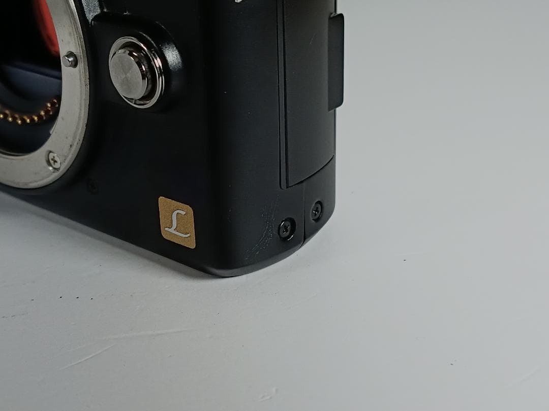 動作確認済 Panasonic パナソニック LUMIX GF1 ミラーレス