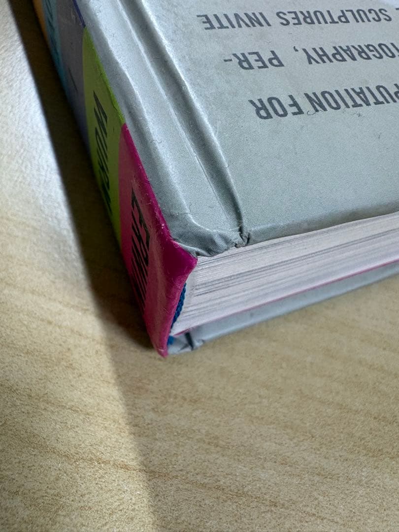 Erwin Wurm エルヴィン・ヴルム