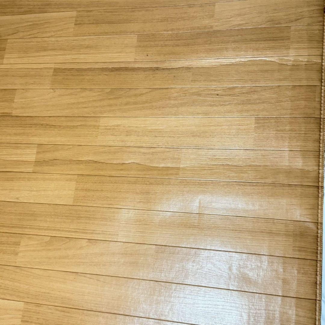 Panasonic 3畳 パナソニック かんたん床暖　DC-3V1R