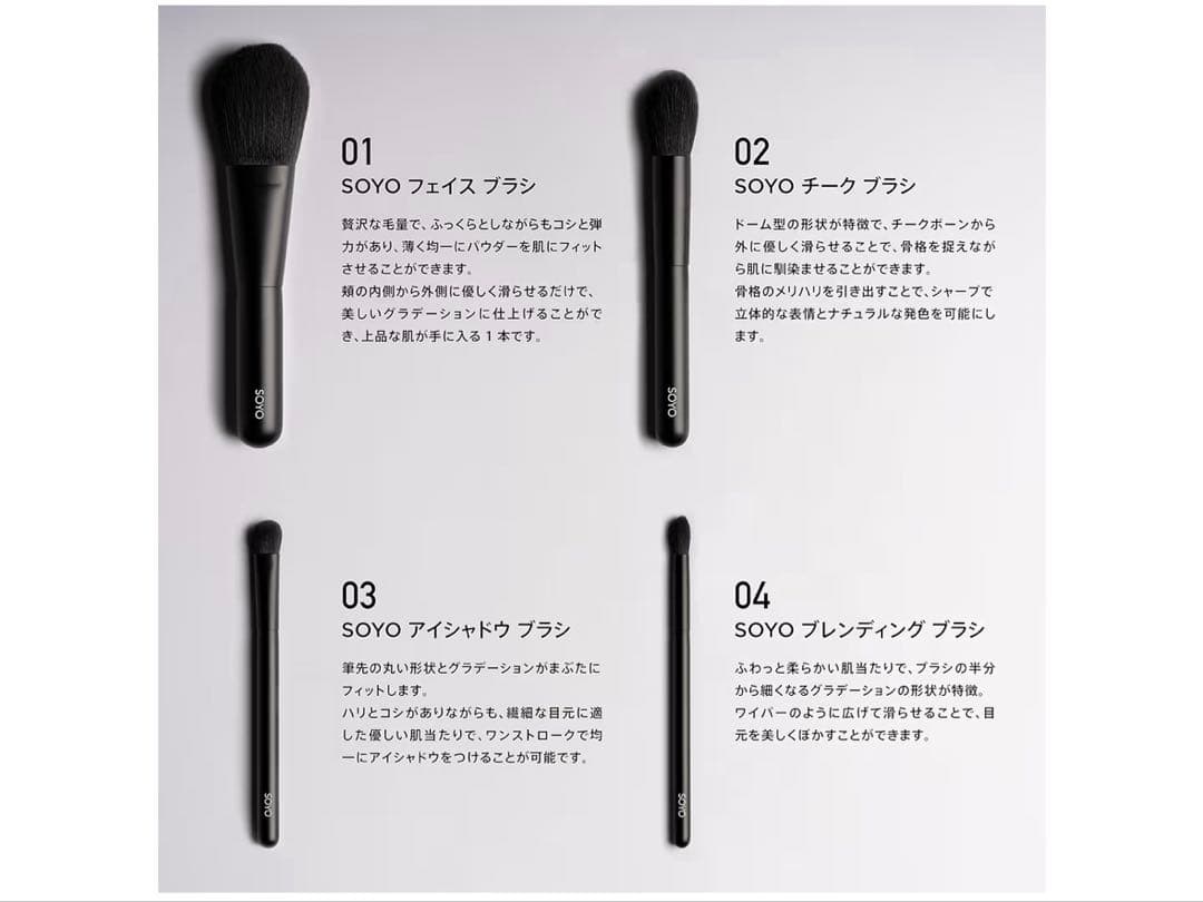 SOYO スタンダード デイリー セット（7本＋ケース付）