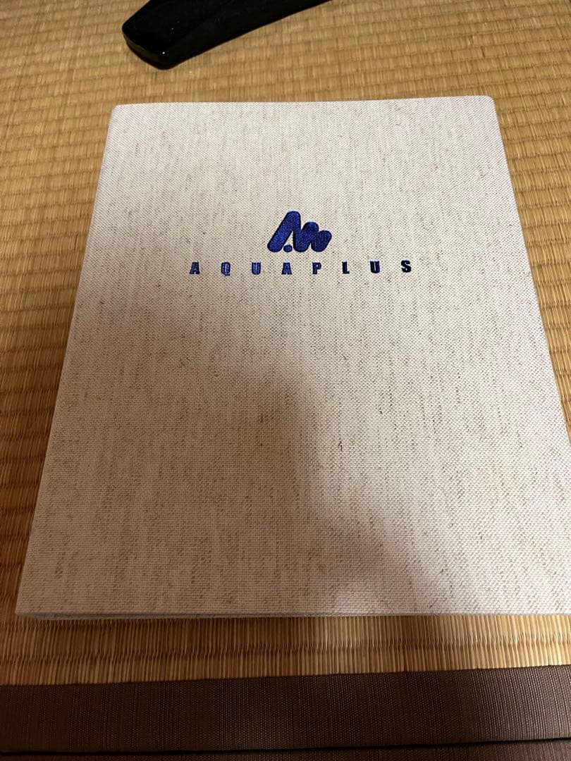 WHITE ALBUM トレーディングカード HG版 概要必読