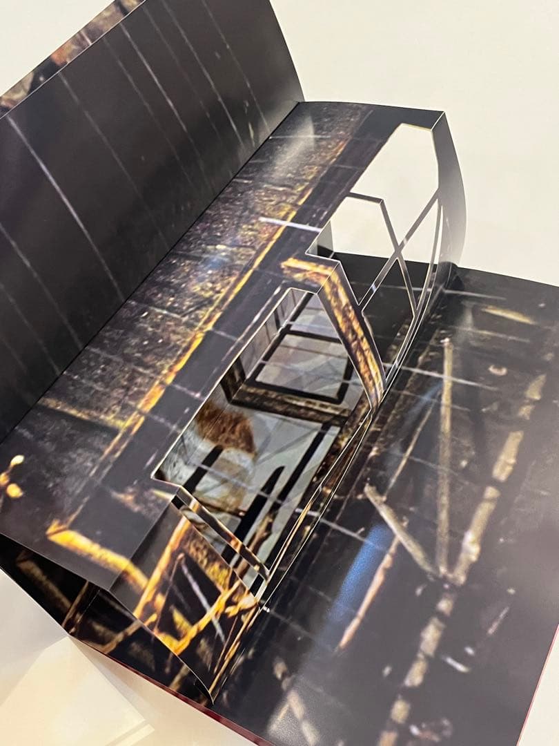 希少　コムデギャルソン　非売品アート冊子　SIX purple ④